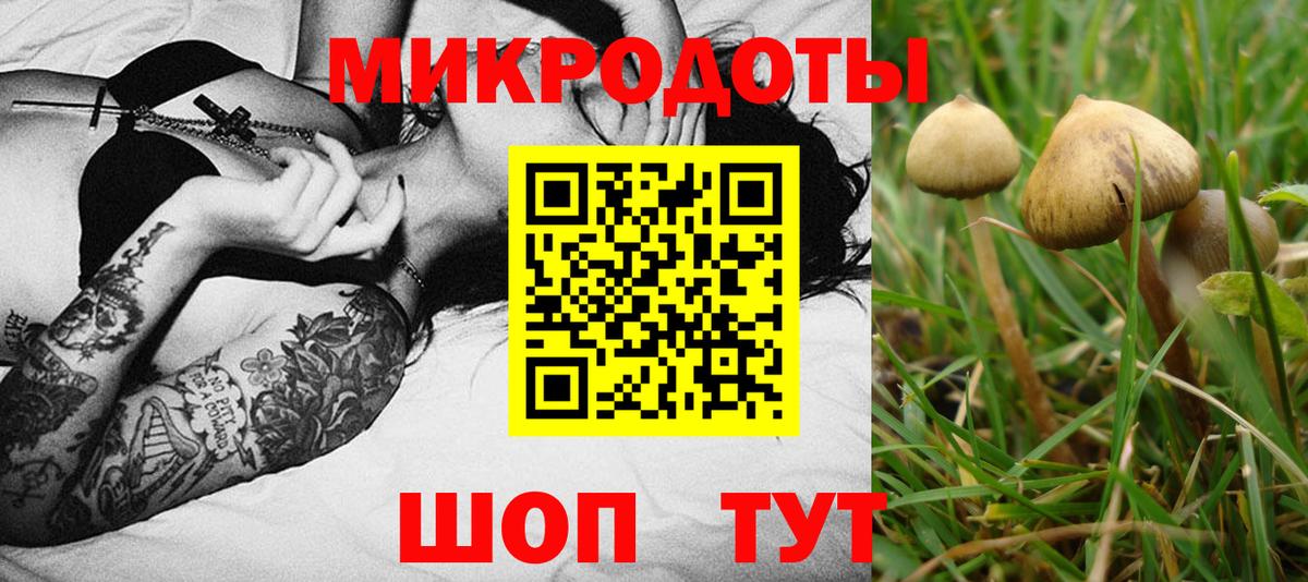 Псилоцибиновые грибы GOLDEN TEACHER Десногорск